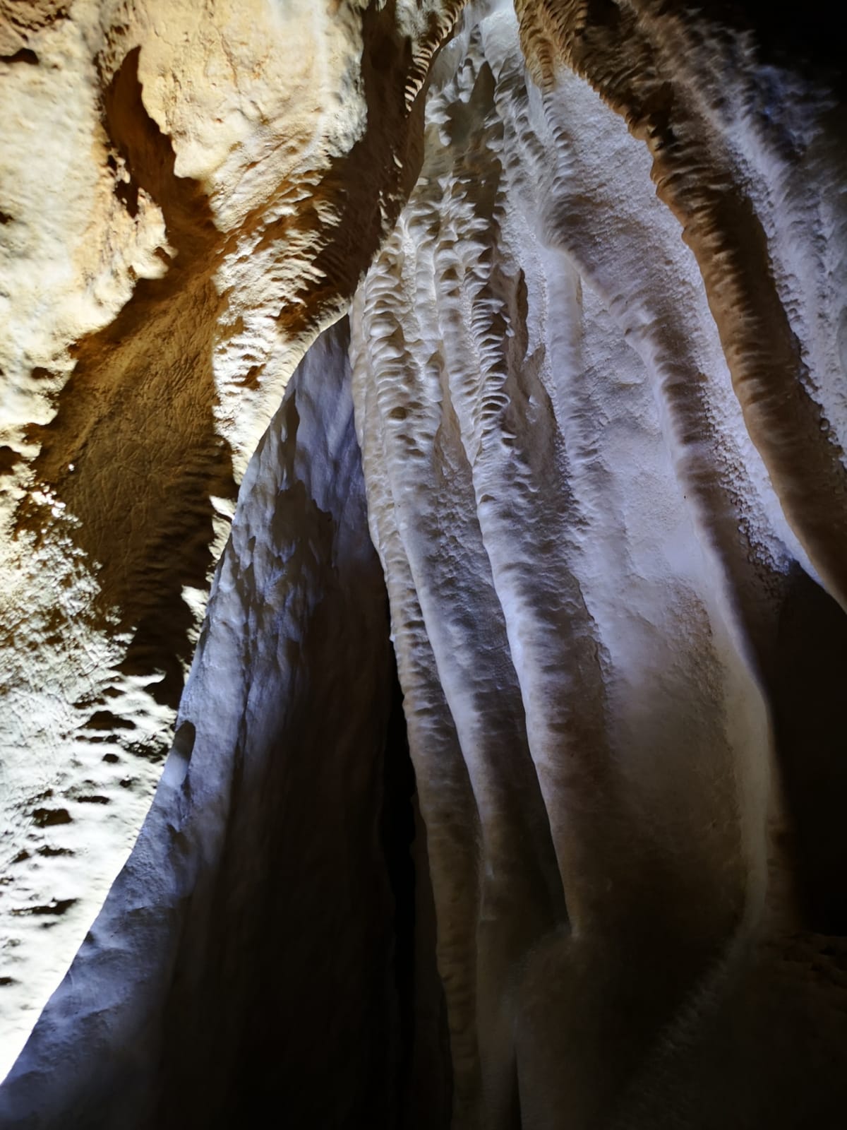 Peștera Surprizei - Image 7